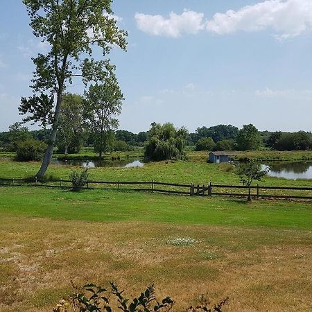 Gite 4kms plage grand domaine privé lacs natura 2000 Lit-et-Mixe Exterior foto