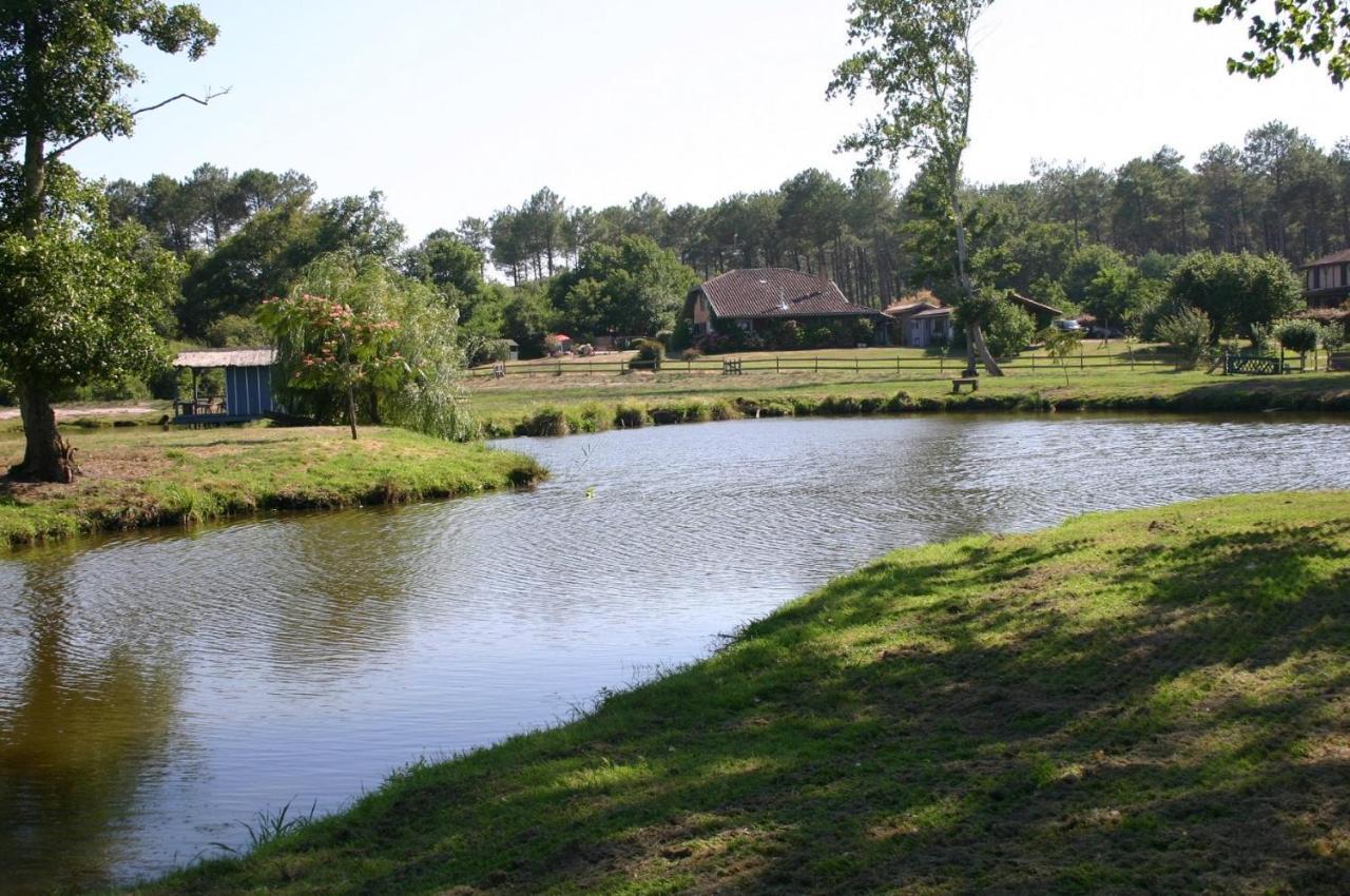 Gite 4kms plage grand domaine privé lacs natura 2000 Lit-et-Mixe Exterior foto